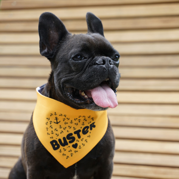 Bandana pour chien - Taille S